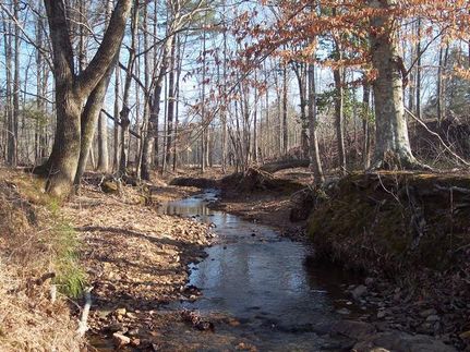 Property in Coosa County, Alabama