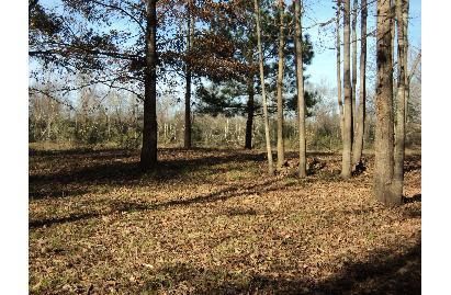 Property in Hale County, Alabama