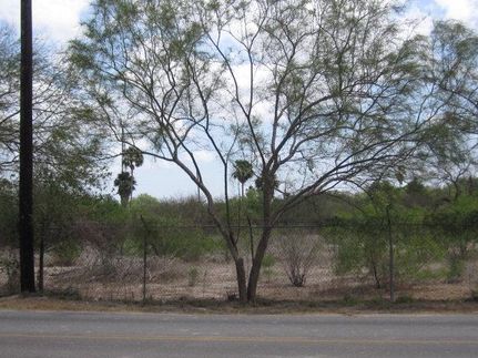 Property in Hidalgo County, Texas