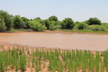 Property in Childress County, Texas