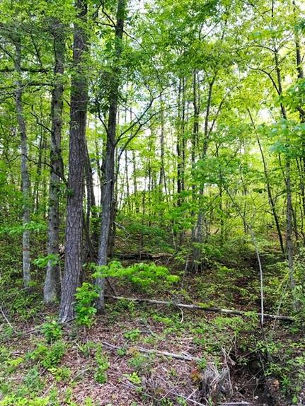 Property in Roane County, Tennessee