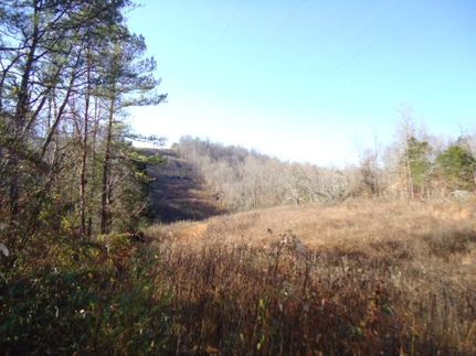 Property in Blount County, Alabama