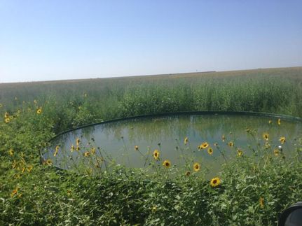 Property in Curry County, New Mexico