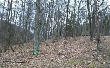Property in Mineral County, West Virginia