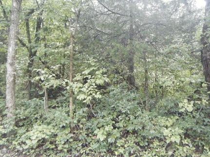 Property in Overton County, Tennessee