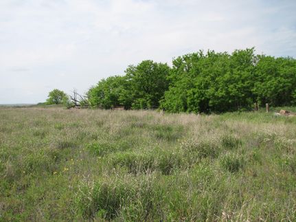 Property in King County, Texas