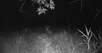 Property in Washington County, Wisconsin