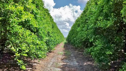 Property in Hendry County, Florida