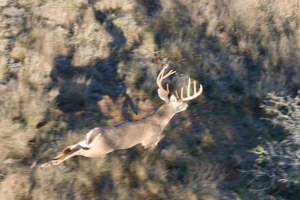 Property in Zavala County, Texas