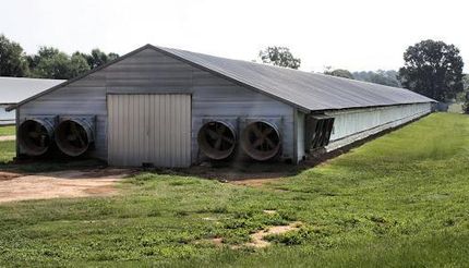 Property in Jasper County, Mississippi