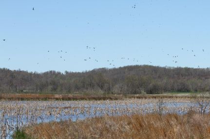Property in Alexander County, Illinois
