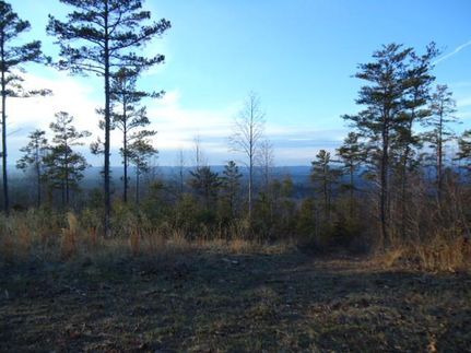 Property in Blount County, Alabama