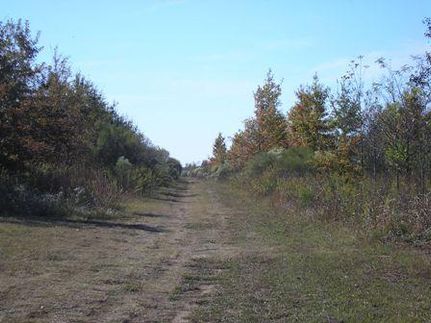 Property in Tensas Parish, Louisiana