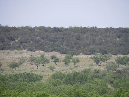 Property in Coke County, Texas