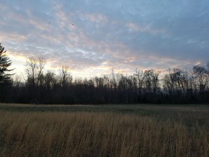 Property in Coffee County, Tennessee