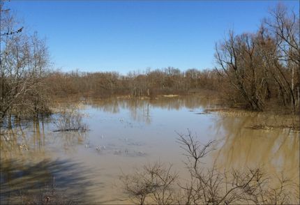 Property in Cross County, Arkansas