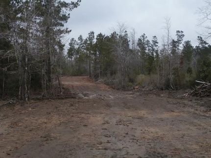 Property in Newton County, Texas