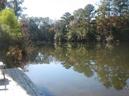 Property in Covington County, Alabama
