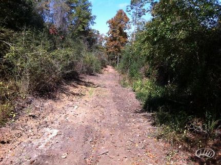 Property in Marion County, Mississippi