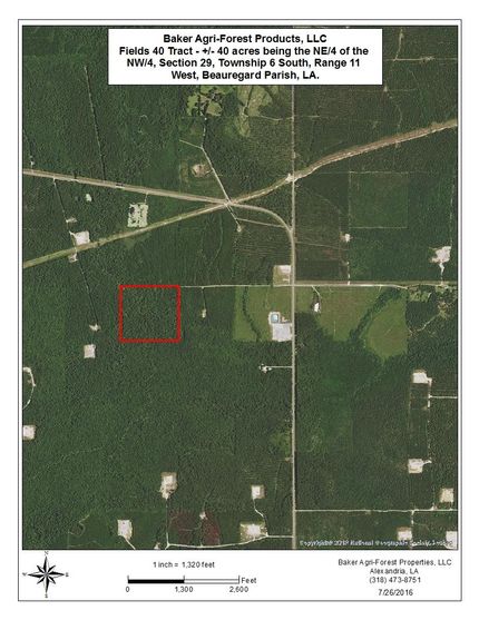 Property in Beauregard Parish, Louisiana