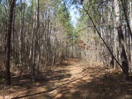 Property in Alamance County, North Carolina
