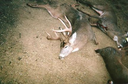 Property in Crawford County, Wisconsin