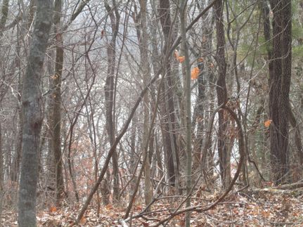 Property in Boone County, Missouri