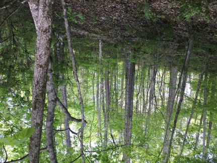 Property in Tallapoosa County, Alabama