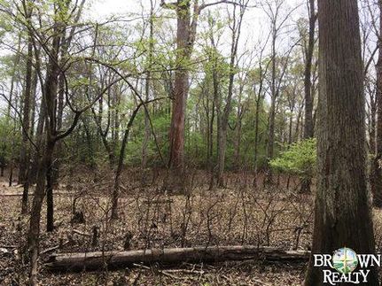 Property in Webster Parish, Louisiana