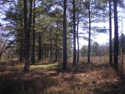 Property in Elmore County, Alabama