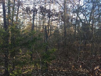 Property in Oregon County, Missouri