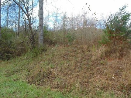 Property in Henry County, Virginia