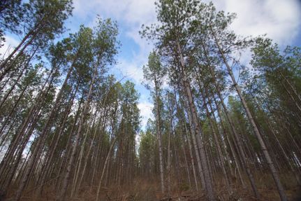 Property in Holmes County, Mississippi