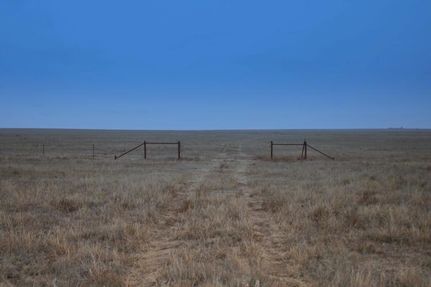 Property in Dallam County, Texas
