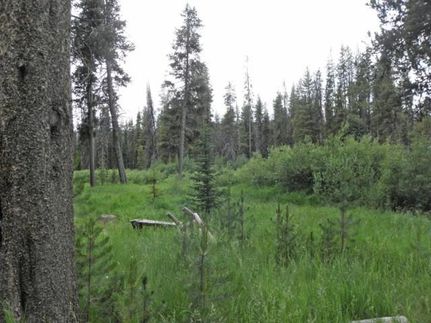 Property in Idaho County, Idaho