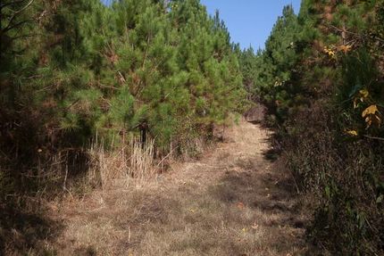 Property in Limestone County, Alabama