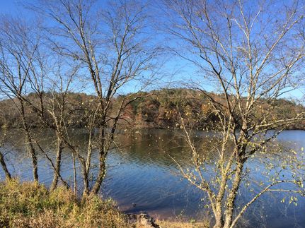 Property in Wilkes County, North Carolina