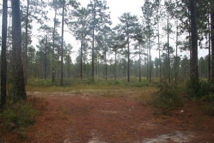 Property in Turner County, Georgia