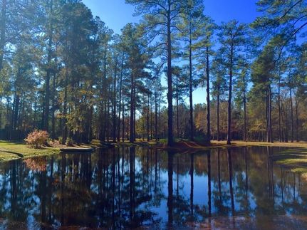 Property in Williamsburg County, South Carolina