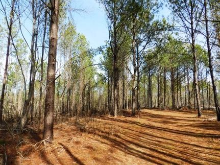 Property in Lamar County, Alabama