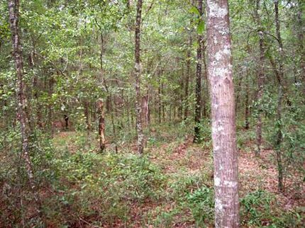 Property in Columbia County, Florida