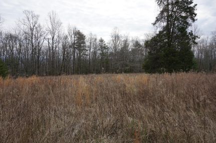 Property in Rhea County, Tennessee