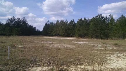 Property in Charlton County, Georgia