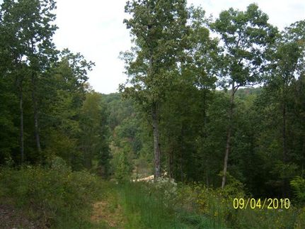 Property in Perry County, Tennessee