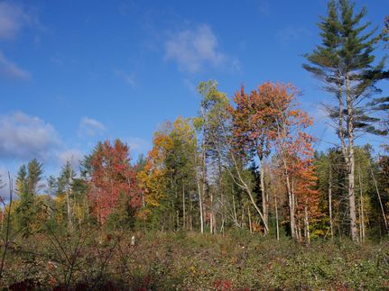 Property in Somerset County, Maine