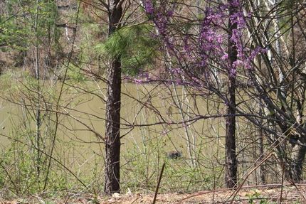 Property in Elmore County, Alabama