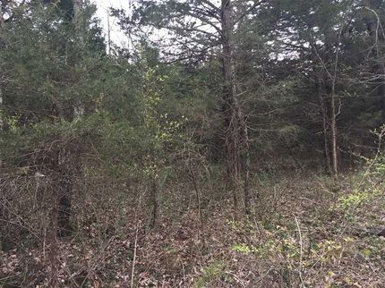 Property in Wright County, Missouri