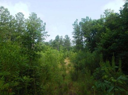 Property in Shelby County, Alabama