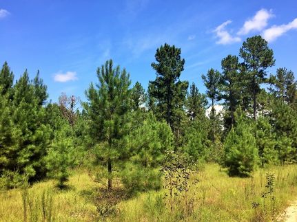 Property in Toombs County, Georgia