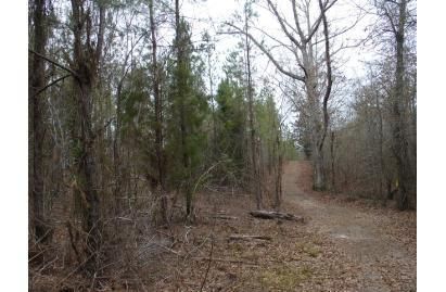 Property in Henry County, Alabama